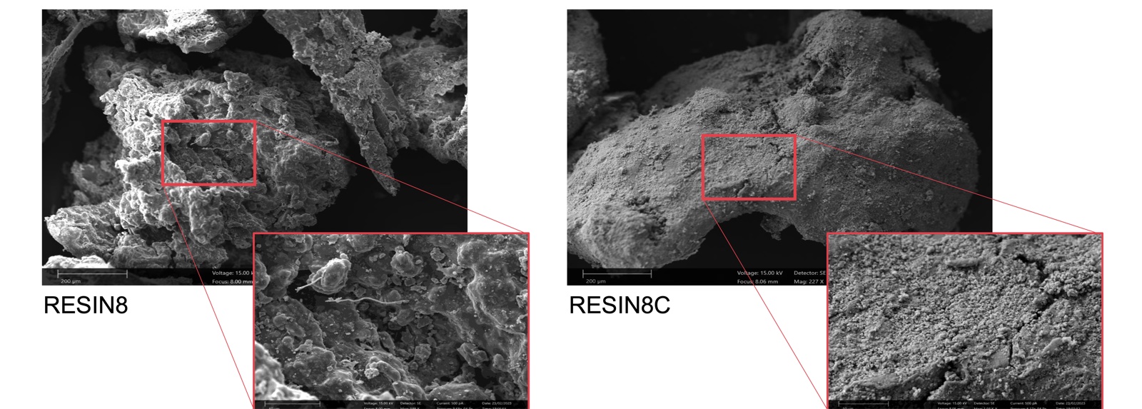 Microscopía electrónica de RESIN8 CORE